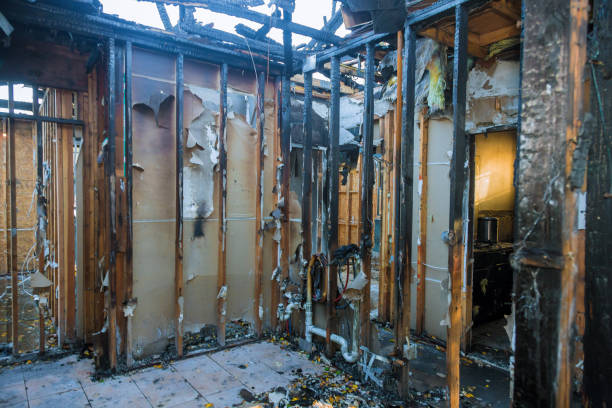 Professional Odor Removal technician working in Ossun, LA
